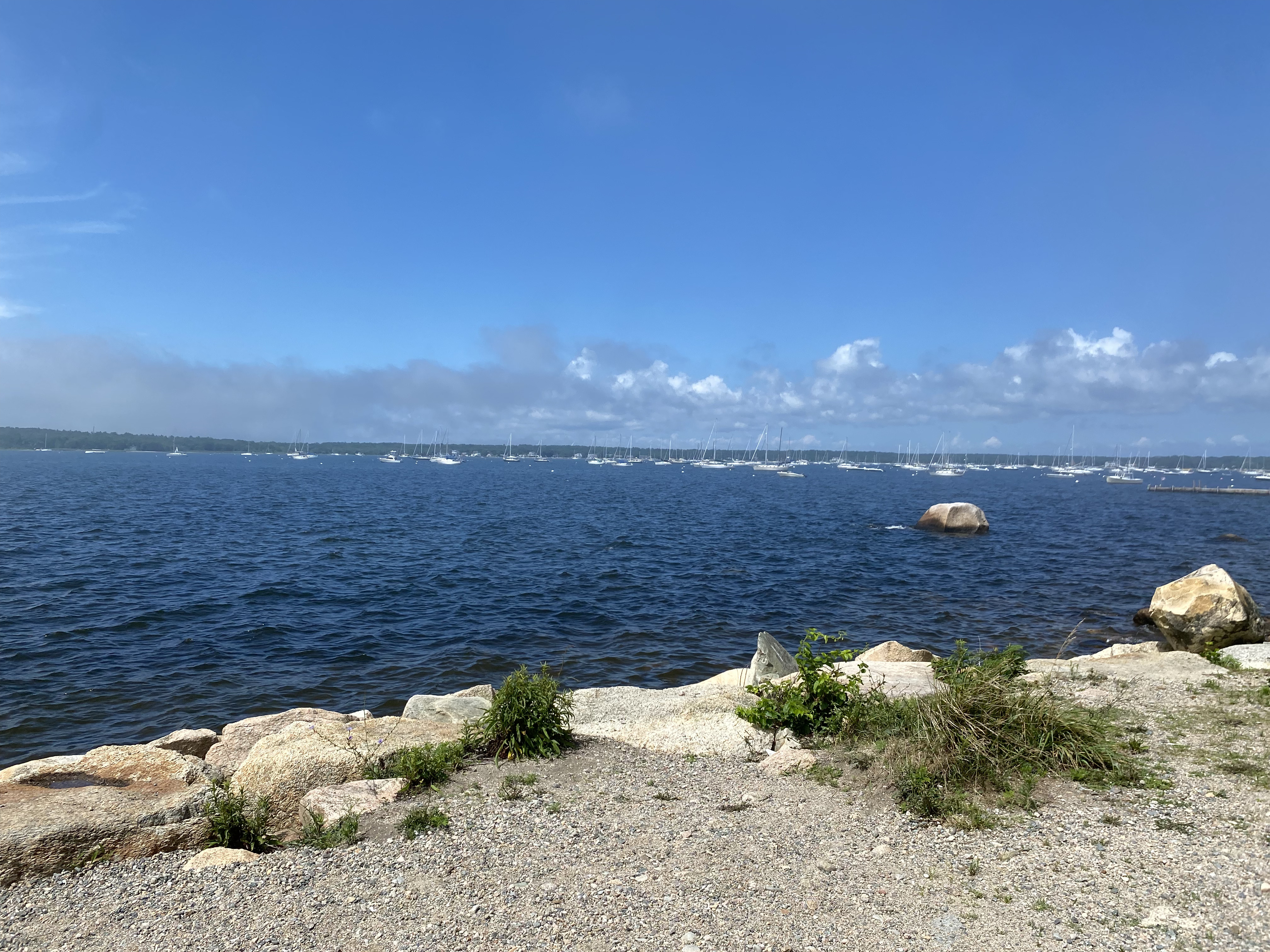 Ocean view